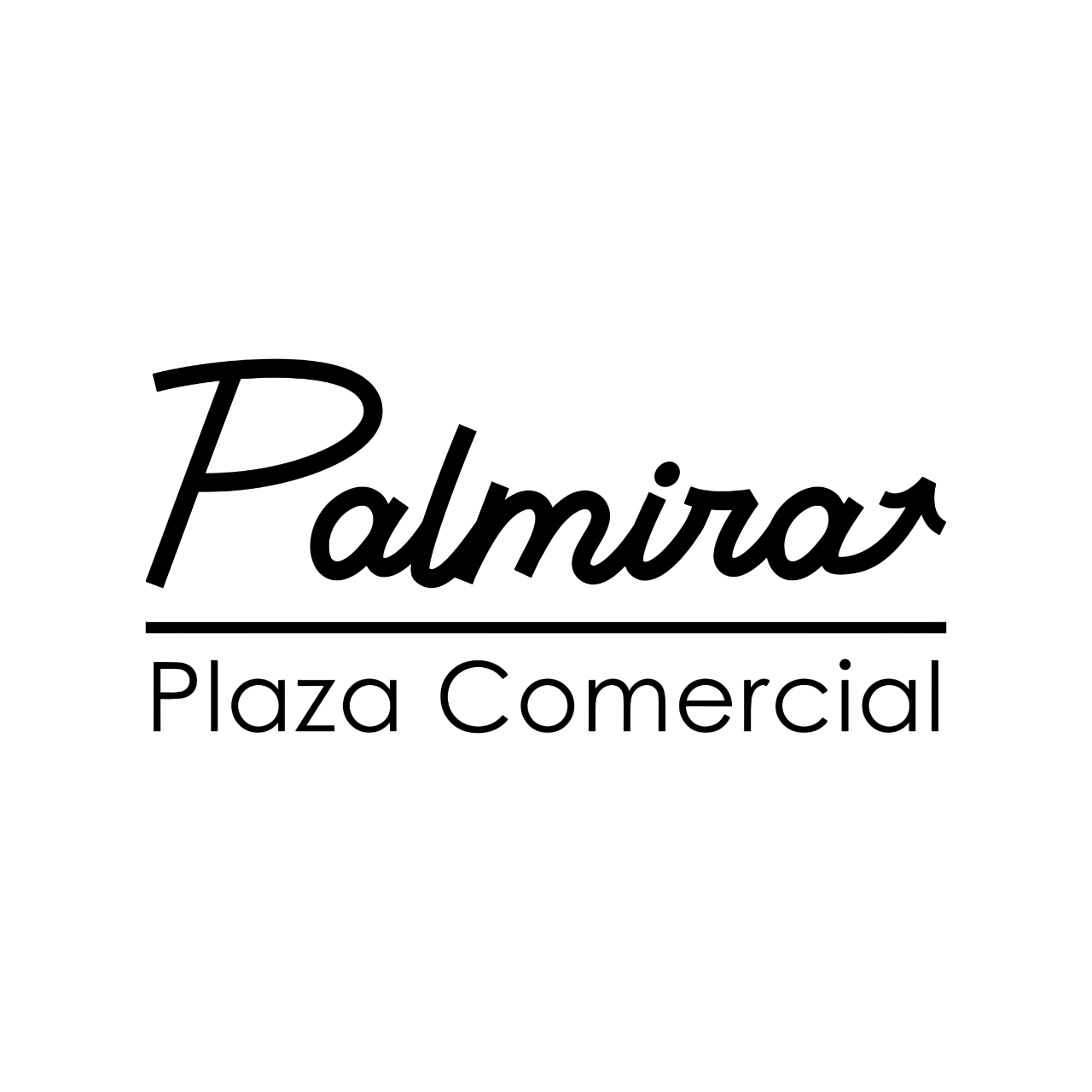 Plaza Comercial Palmira