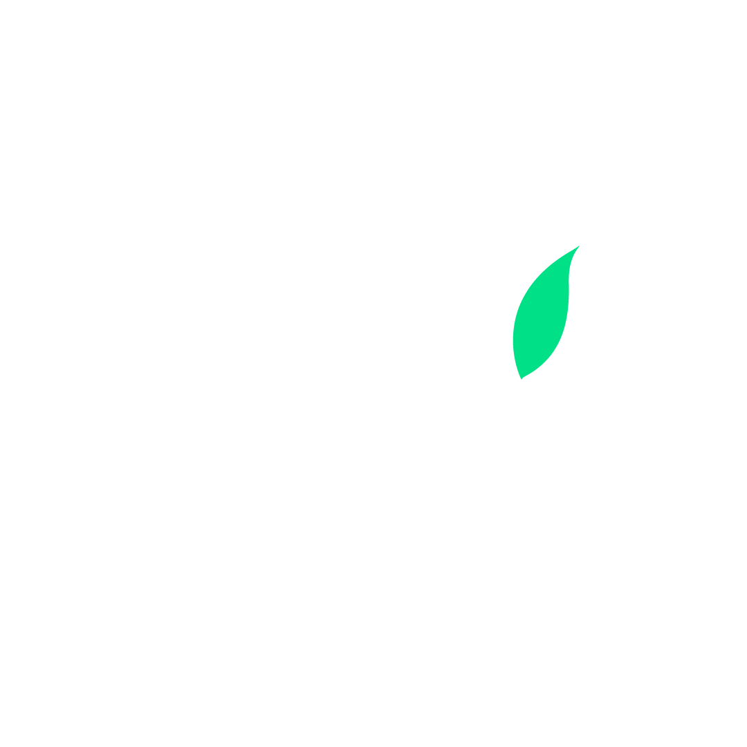 Oasiz Logo